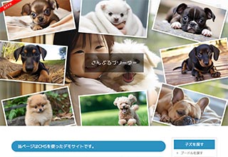 ペットショップ・ブリーダー向け無料ホームページテンプレート q19_breeder2_photo_blue_cms