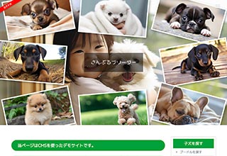 ペットショップ・ブリーダー向け無料ホームページテンプレート q19_breeder2_photo_green_cms