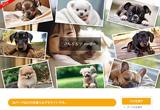 ペットショップ・ブリーダー向け無料ホームページテンプレート q19_breeder2_photo_orange_cms