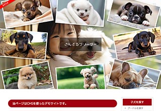 ペットショップ・ブリーダー向け無料ホームページテンプレート q19_breeder2_photo_red_cms