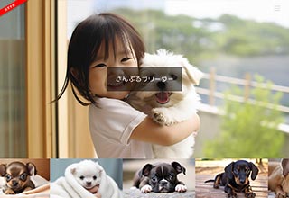 ペットショップ・ブリーダー向け無料ホームページテンプレート q19_breeder2_slide_blue_cms